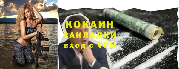 метадон Алексин