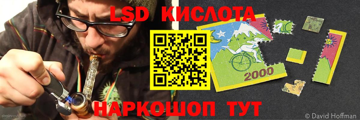 Псилоцибиновые грибы Арзамас