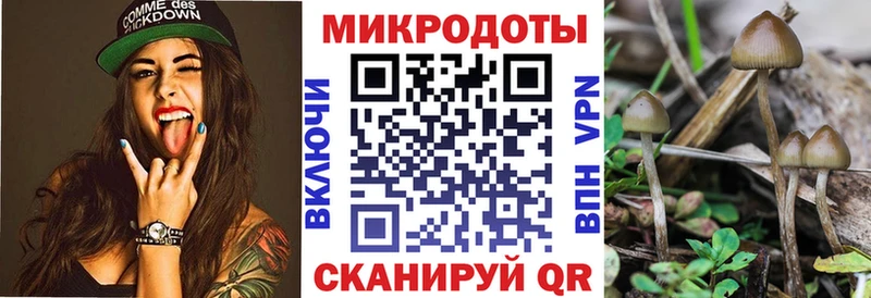 Галлюциногенные грибы мухоморы  Арзамас 