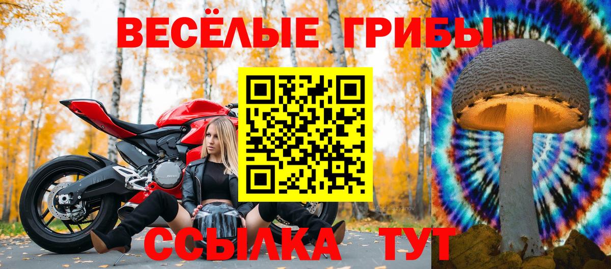 Галлюциногенные грибы GOLDEN TEACHER  Вход с VPN  Арзамас 