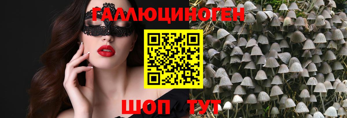 Галлюциногенные грибы Psilocybe Арзамас