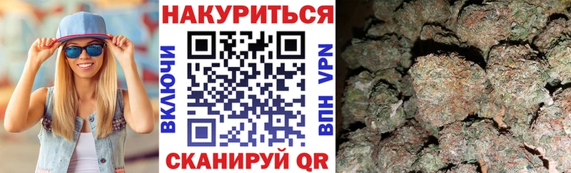 Каннабис гибрид  закладка  Арзамас 